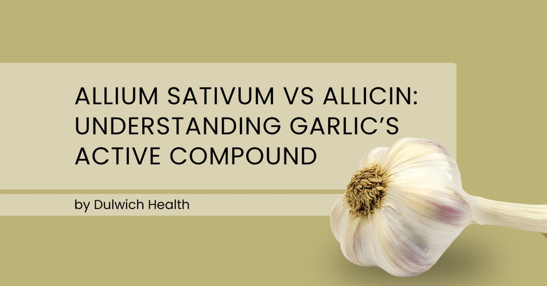 Allium Sativum vs Allicin: Understanding Garlic’s Active Compound