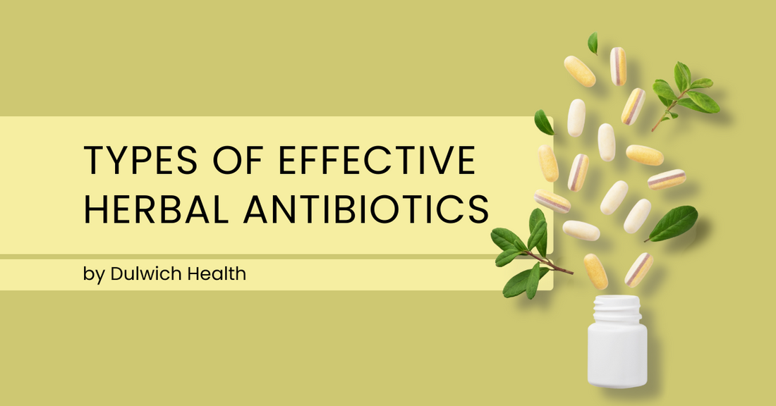 Types Of Effective Herbal Antibiotics
