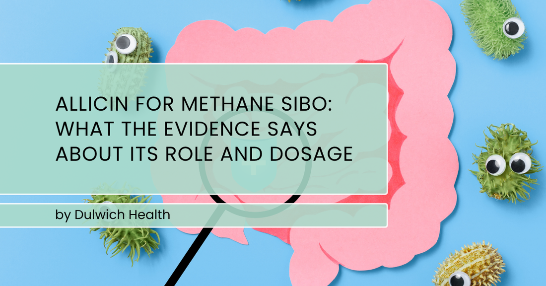 Allicin for Methane SIBO: What the Evidence Says About Its Role and Dosage
