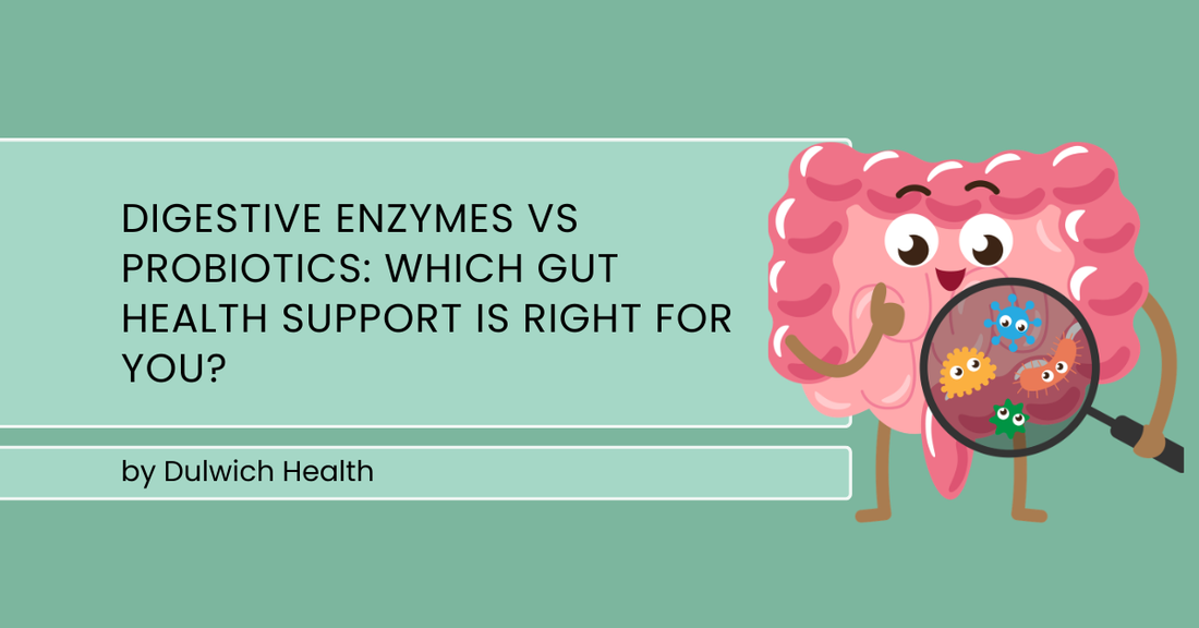 Digestive Enzymes vs Probiotics: Which Gut Health Support Is Right for You?