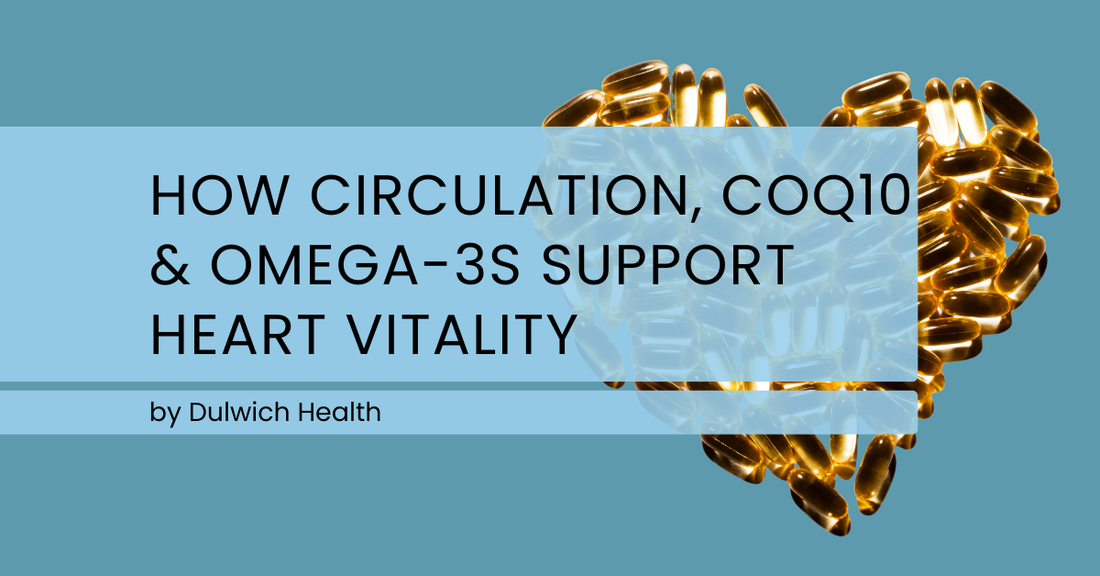 How Circulation, CoQ10 & Omega-3s Support Heart Vitality