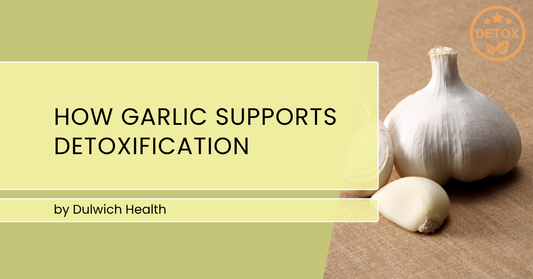 How Garlic Supports Detoxification