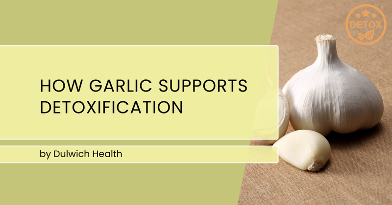 How Garlic Supports Detoxification