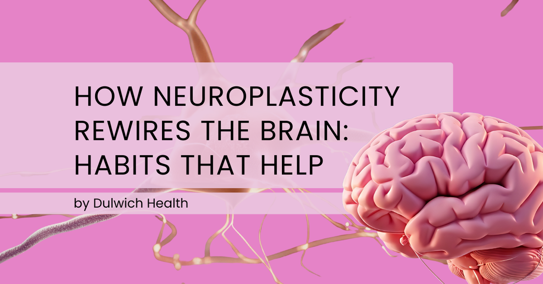 How Neuroplasticity Rewires the Brain: Energy, Omega-3s & Habits That Help