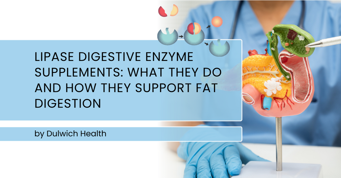 Lipase Digestive Enzyme Supplements: What They Do and How They Support Fat Digestion