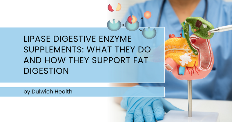 Lipase Digestive Enzyme Supplements: What They Do and How They Support Fat Digestion