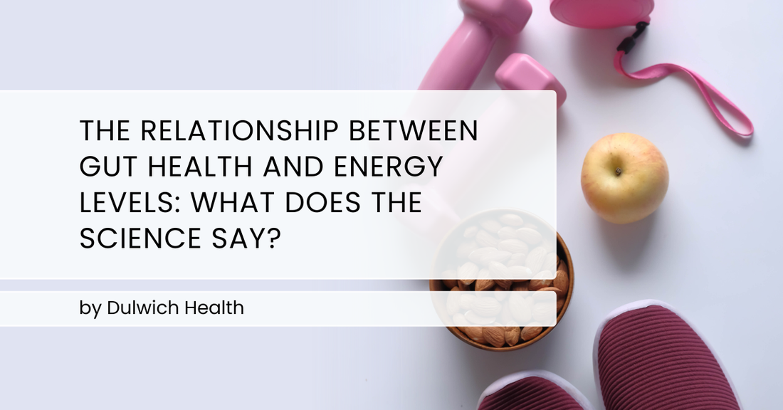The Relationship Between Gut Health and Energy Levels: What Does the Science Say?