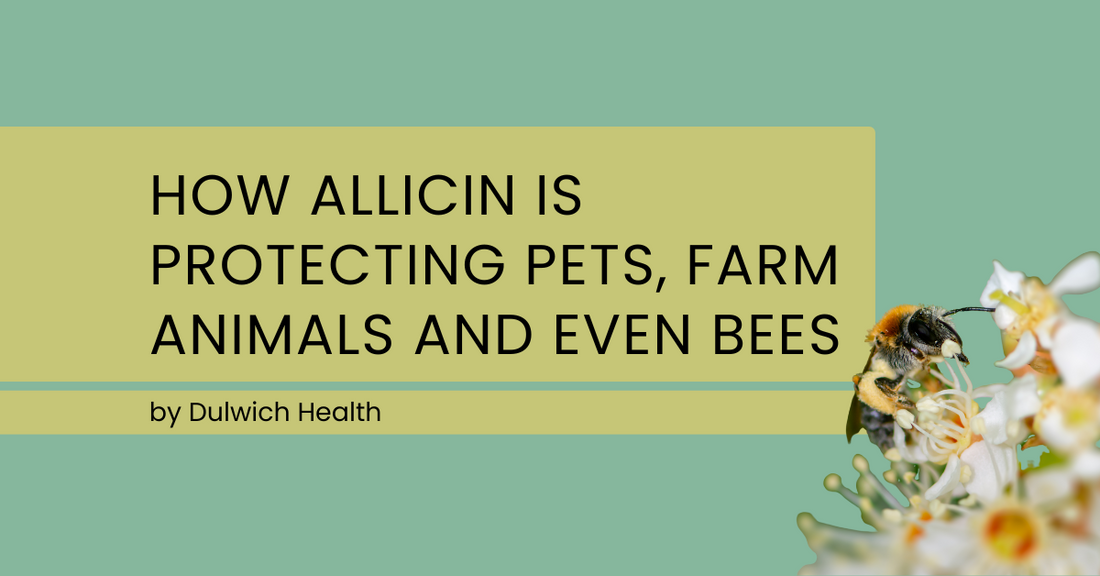 How Allicin is Protecting Pets, Farm Animals and Even Honey Bees