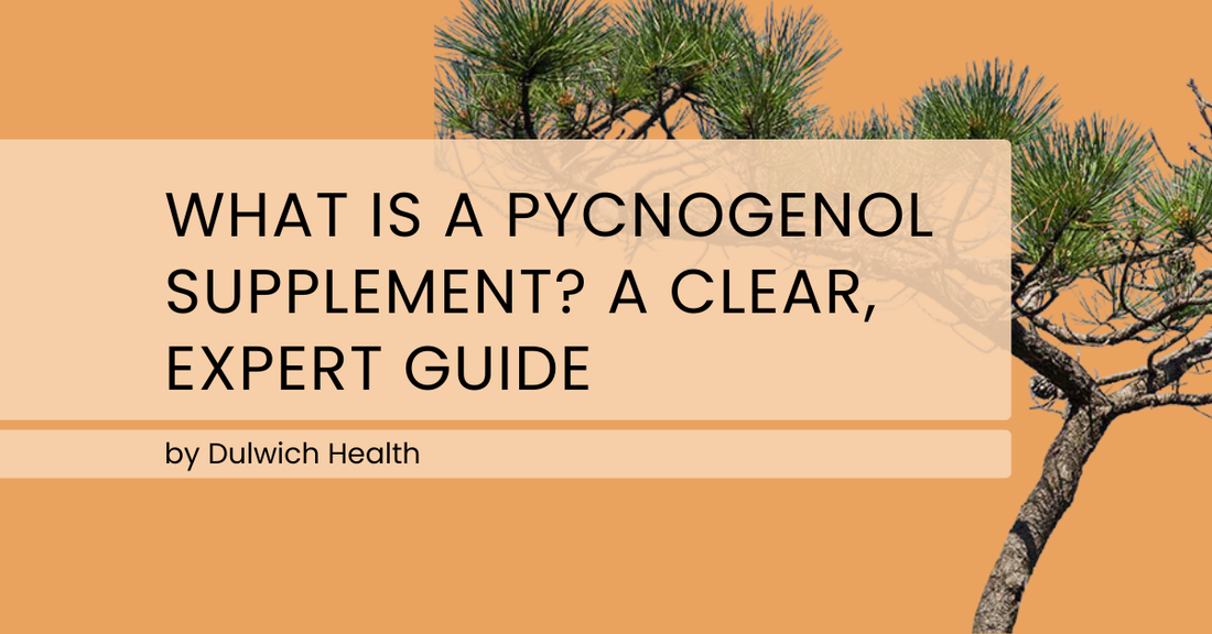 What Is a Pycnogenol Supplement? A Clear, Expert Guide