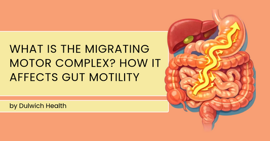 What Is the Migrating Motor Complex? How It Affects Gut Motility