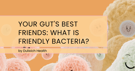 Your Gut's Best Friends: What Is Friendly Bacteria?
