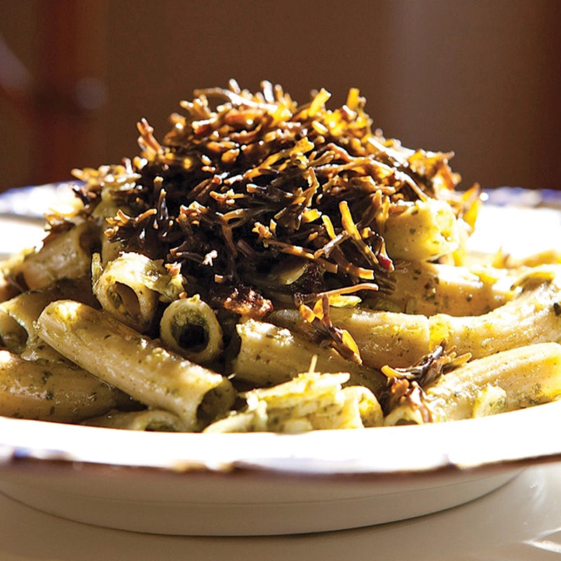 Pasta dish with Seagreens Pelvetia Pieces on a white plate