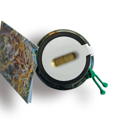 Close-up of a Seagreens Iodine Lite supplement bottle lid with a capsule shown, on a white background