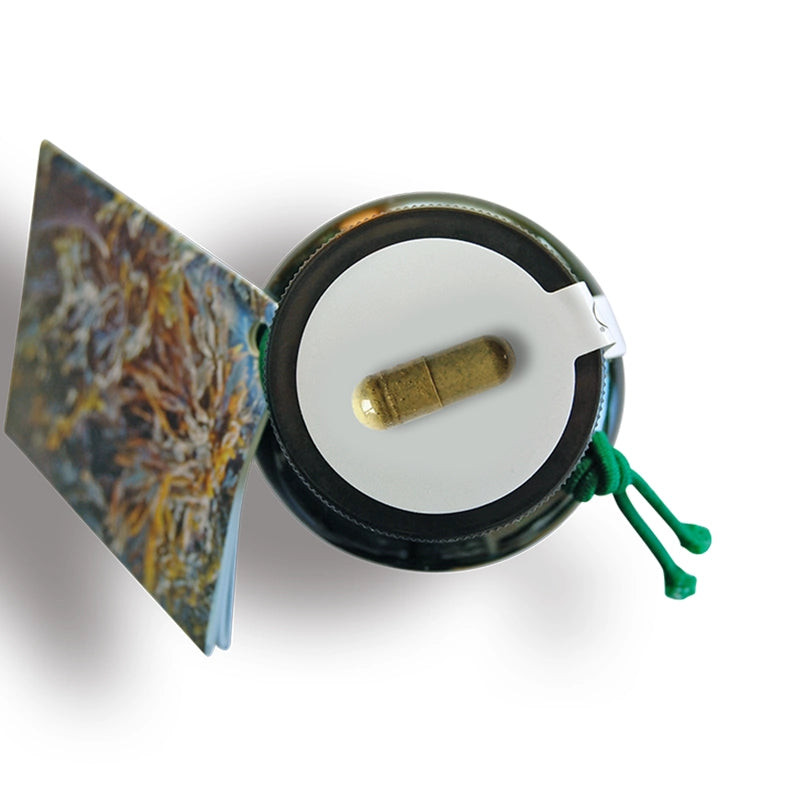 Seagreens Iodine Plus lid, containing a capsule, on a white background