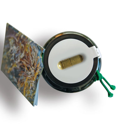 Seagreens Iodine Plus lid, containing a capsule, on a white background