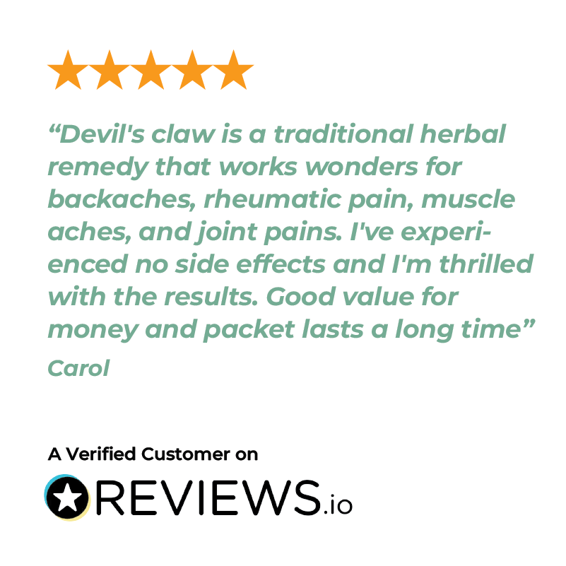 VenusTech Devil's Claw Infusion