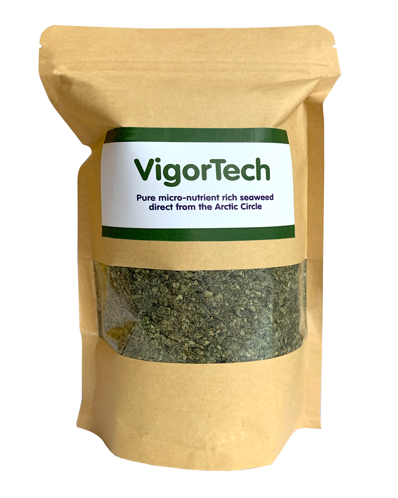 VigorTech 500g by Dulwich Health