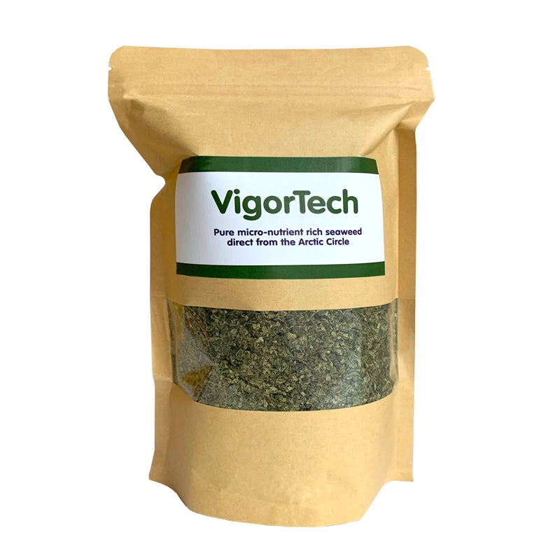 VigorTech seaweed package on a white background