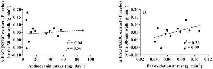 BlackCurrant CurraNZ Study Fat Loss